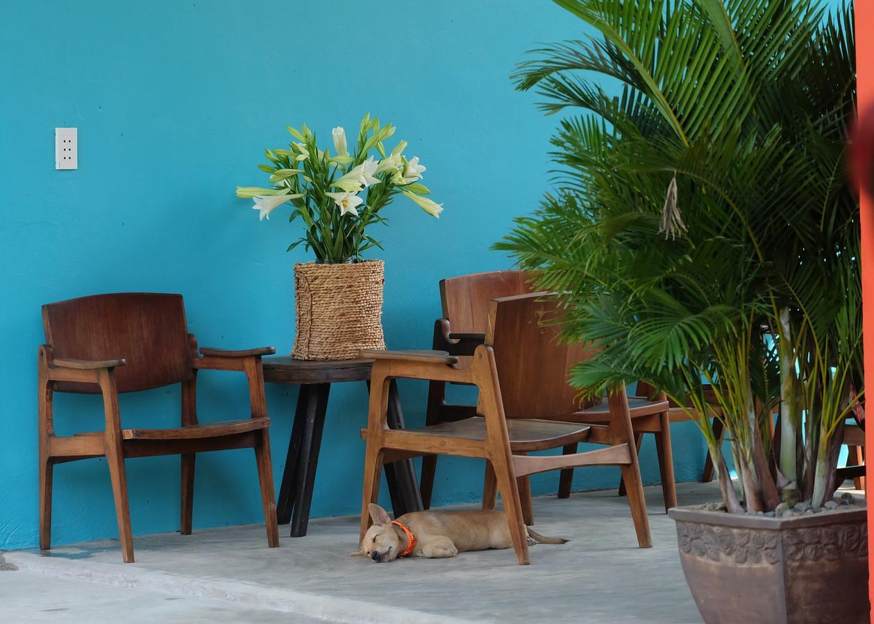 Lana Land Homestay Phu Quoc Bagian luar foto