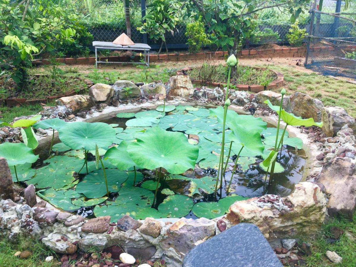 Lana Land Homestay Phu Quoc Bagian luar foto